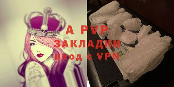 гидра Елизово