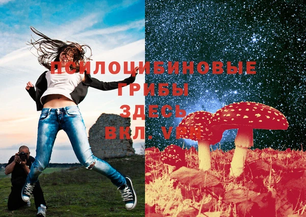 МДПВ Аркадак