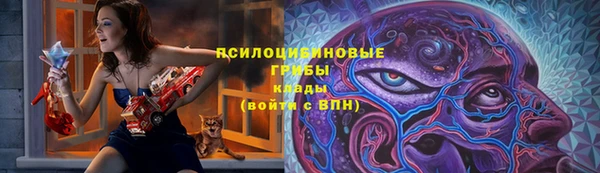 МДПВ Аркадак